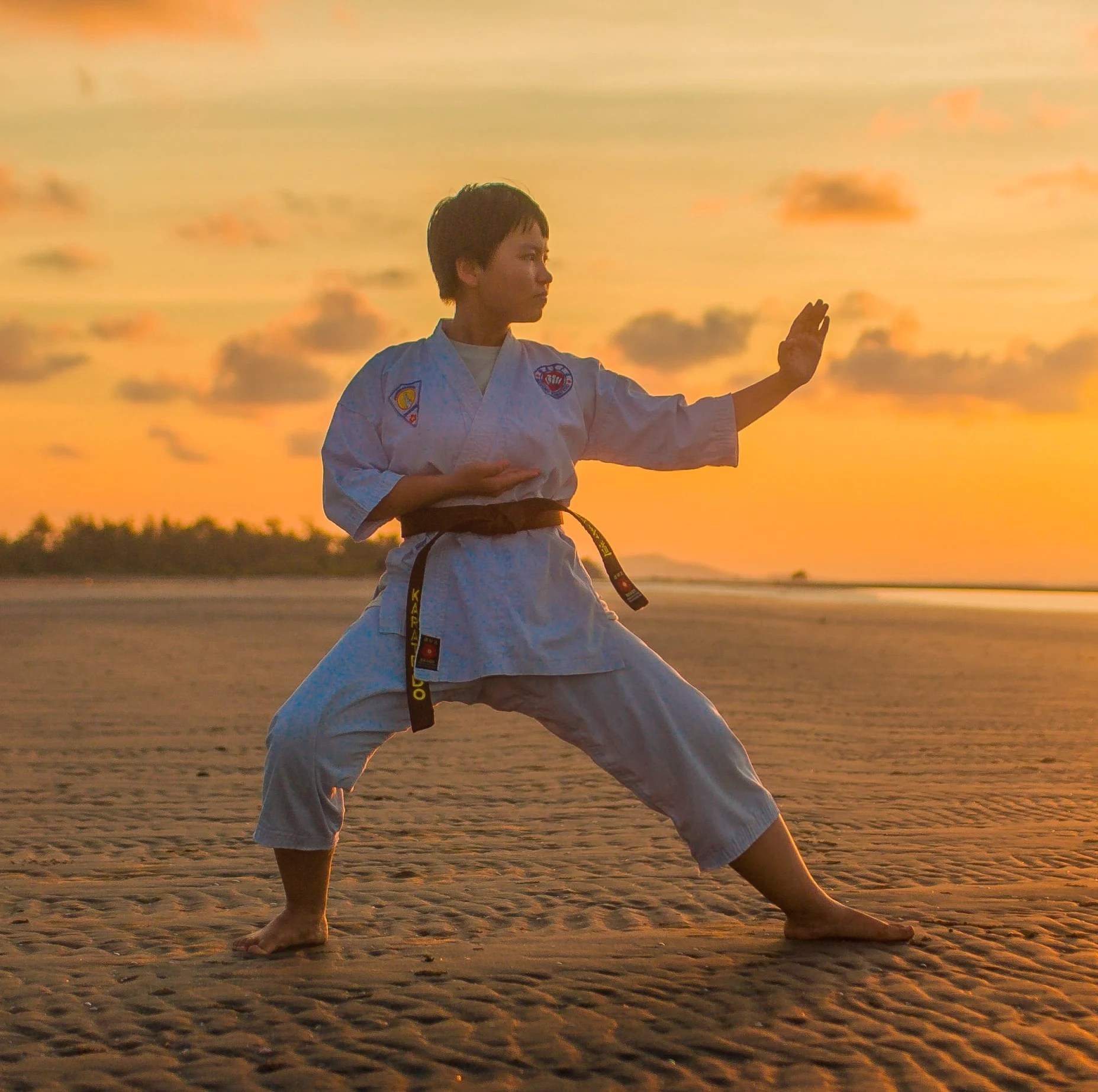 How Martial Arts Training Helps Develop Executive Function Skills